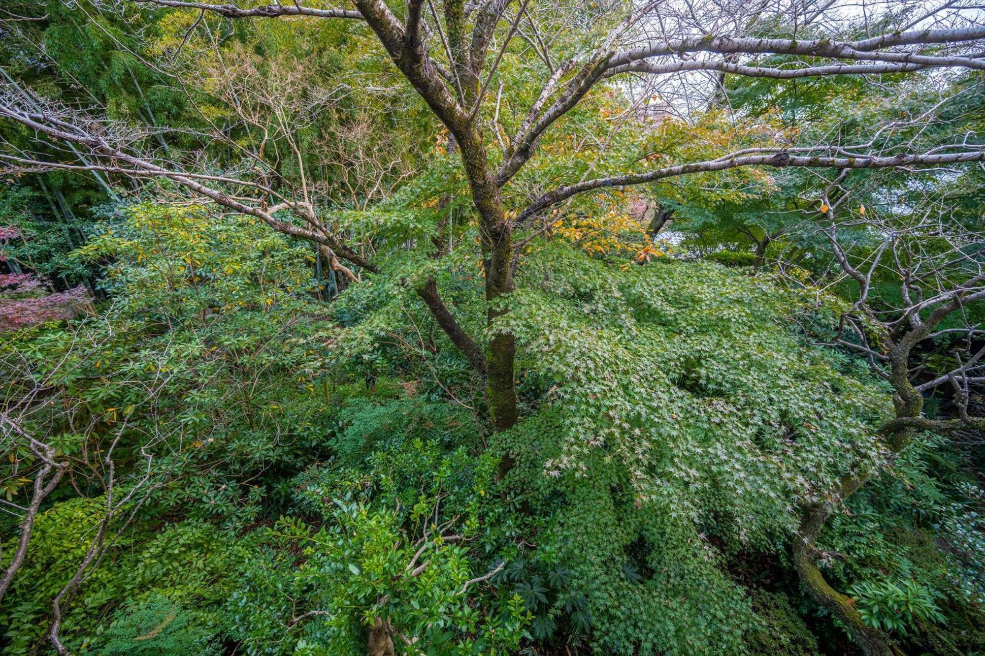 Jinya Ryokan Hadano Экстерьер фото